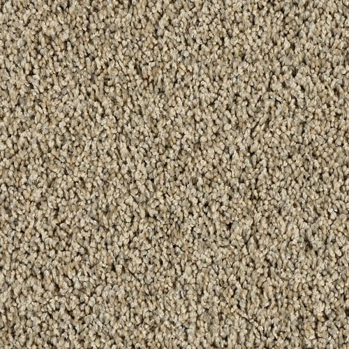 SFI Clever - 4657 Capable